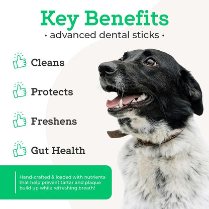 Dr. Joseph'S Advanced Dental Sticks with Prebiotics, 15 Sticks, Cleans Teeth, Freshens Bad Breath, and Supports Gut Health, Target Tartar and Plaque Build Up, Veterinarian Formulated