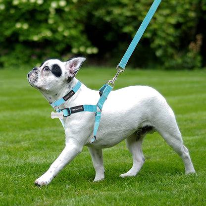 Dog Harness and Leash Set with Collar - Step in No Pull Dog Harness