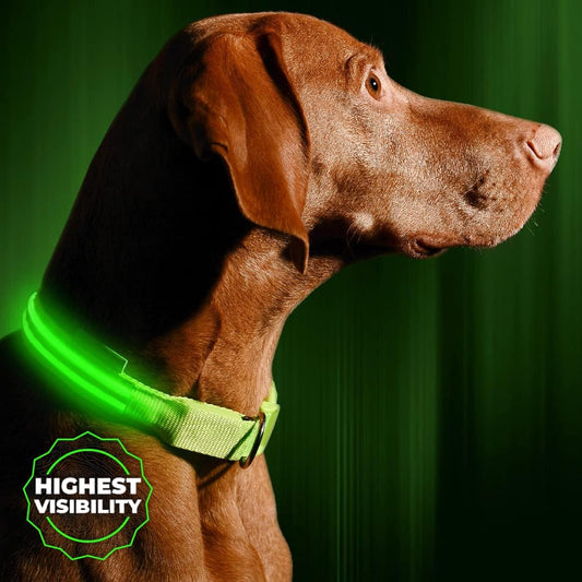LED Dog Collar USB Rechargeable - Bright & High Visibility Lighted Glow Collar for Pet Night Walking - Weatherproof, in 6 Colors & 6 Sizes (Green Large)
