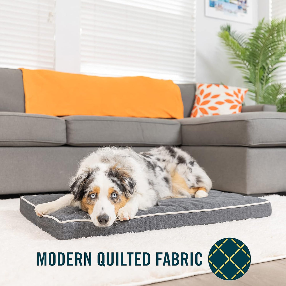 Quilted 3” Memory Foam Dog Mat, Dog Bed & Crate Mat (Soft & Versatile Washable Dog Bed Cover, Perfect Dog Crate Mat & Calming Dog Bed) Nonslip XXL Dog Bed Measures 30" X 48" X 3”