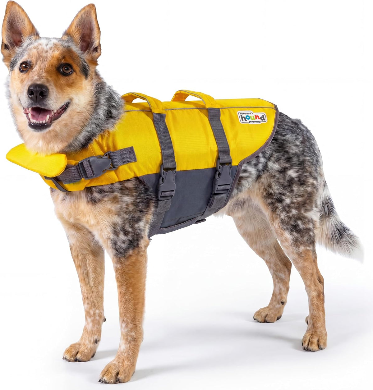 Granby Splash Dog Life Jacket, Life Vest, Yellow, Medium