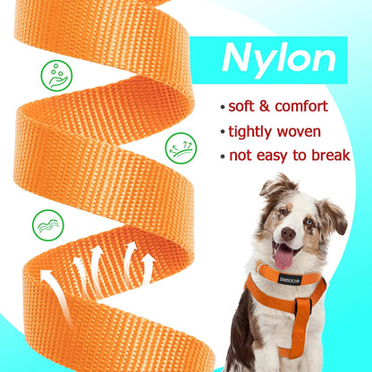 Dog Harness and Leash Set with Collar - Step in No Pull Dog Harness