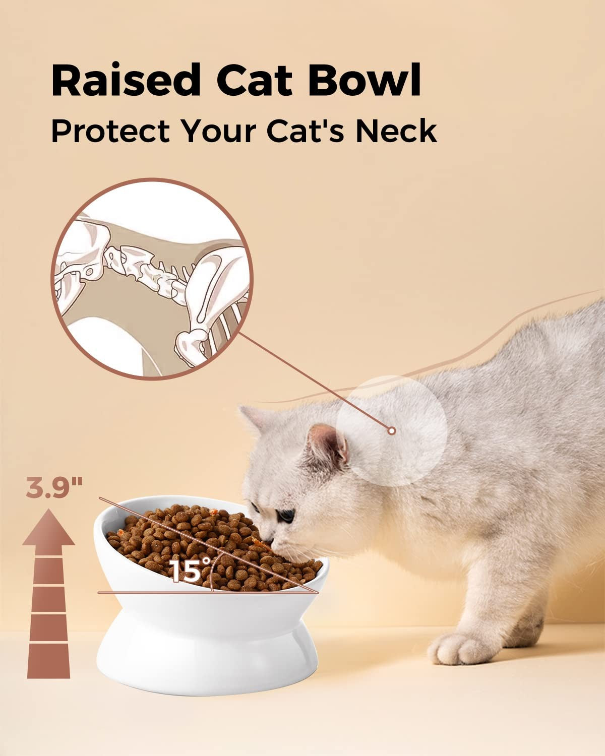 Elevated Cat Food Bowl, 5 Oz Ceramic Raised and Tilted Water Bowl