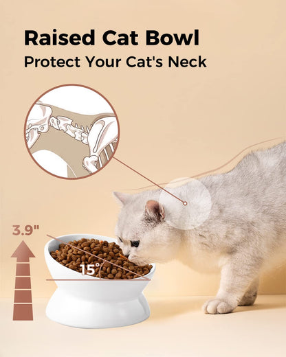 Elevated Cat Food Bowl, 5 Oz Ceramic Raised and Tilted Water Bowl
