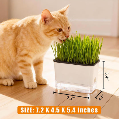 Self-Watering Cat Grass Planter (No Seeds Included) for Indoor Cats