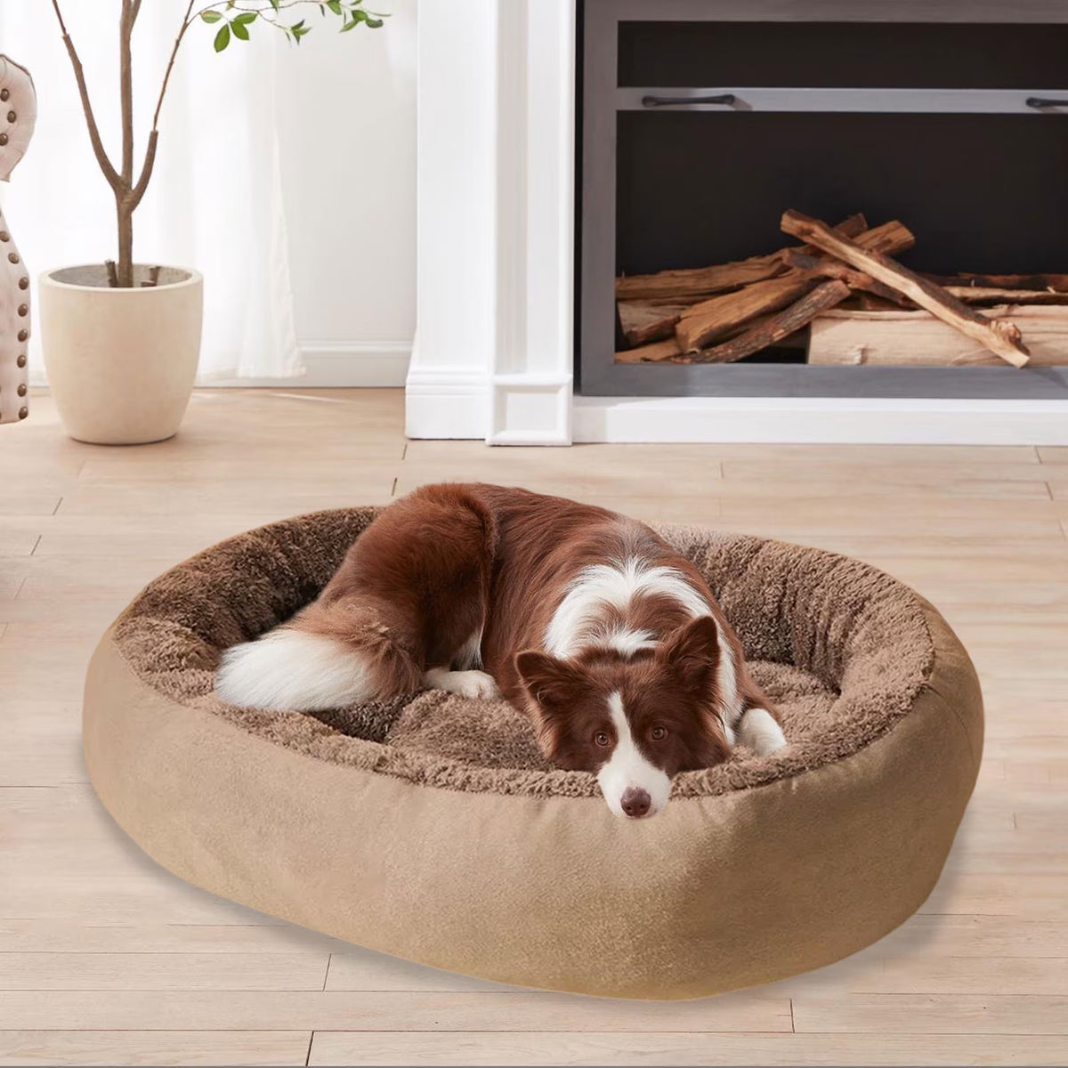 PALIFEUR Small Dog Bed for Puppy&Cat, Comfort Warmth Dog Bed, Thickened Soft Dog Beds with Cozy Sleeping, Washable Dog Bed Velvet Cover, Indoor, Gray(19.69"X15.75")
