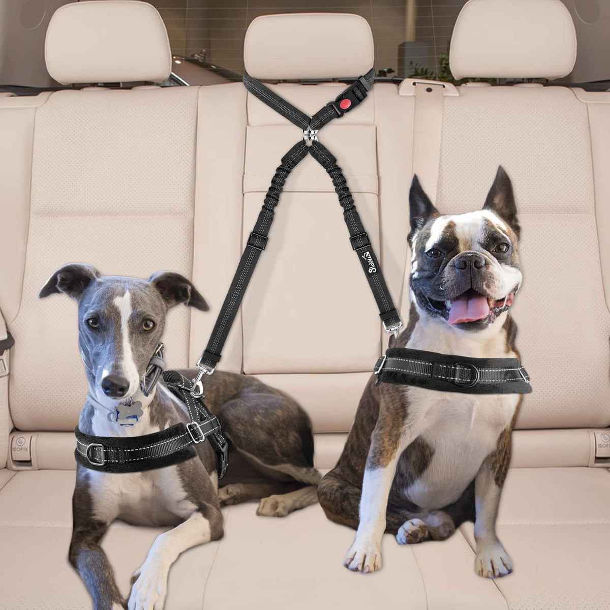 Double Dog Car Seat Belt, No Tangle Headrest Restraint