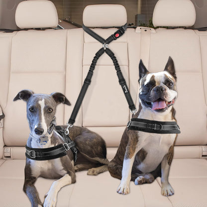 Double Dog Car Seat Belt, No Tangle Headrest Restraint