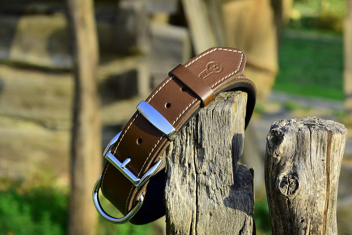Vegetable-Tanned Leather Dog Collar for Large Dogs - Heavy Duty and Luxury Design Dog Collars (S: 1.2” Wide for 16.5”-19.5” Neck, Brown)