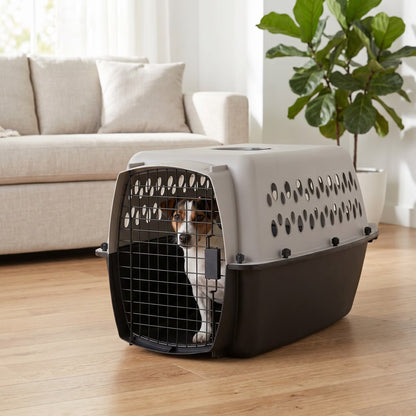 Small Plastic Hard-Sided Pet Carrier, Black and Gray, 15 Lb Limit