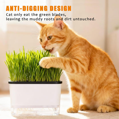 Self-Watering Cat Grass Planter (No Seeds Included) for Indoor Cats