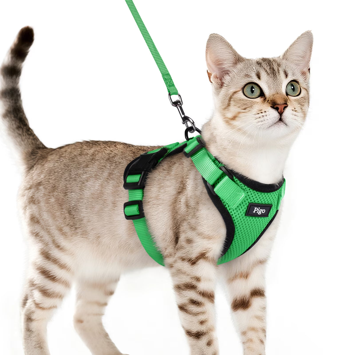Cat Harness and Leash for Walking, Escape Proof Soft Adjustable Vest Harnesses for Cats, Easy Control Breathable Reflective Strips Jacket, Grass Green