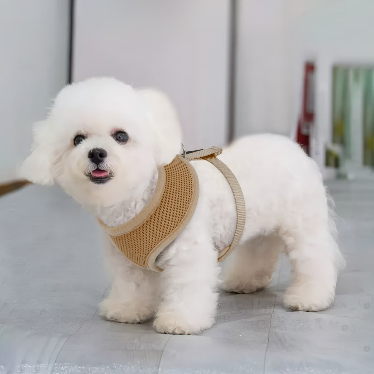 No Pull Dog Harness, Pet Vest Adjustable Mesh Breathable Harnesses for Dogs Walking, Light Brown XS