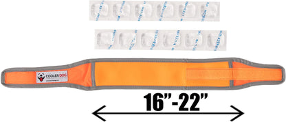 Hi-Vis Cooling Dog Collar for Medium Dogs – Reflective Re-Freezable Ice Collar for Hot Weather & Heat Relief (Orange, Medium)