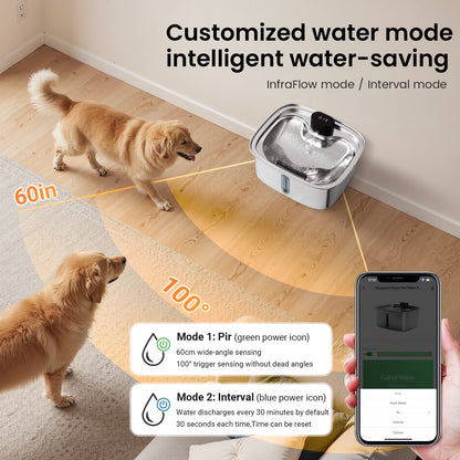10 L Stainless Steel Dog & Cat Water Fountain with Filtration System & Silent Pump