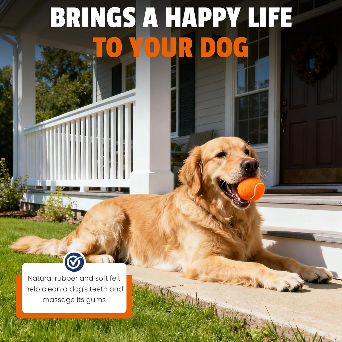 Colorful Tennis Balls for Dogs, 2.5 Inches, 16 Pack, Non Squeaky