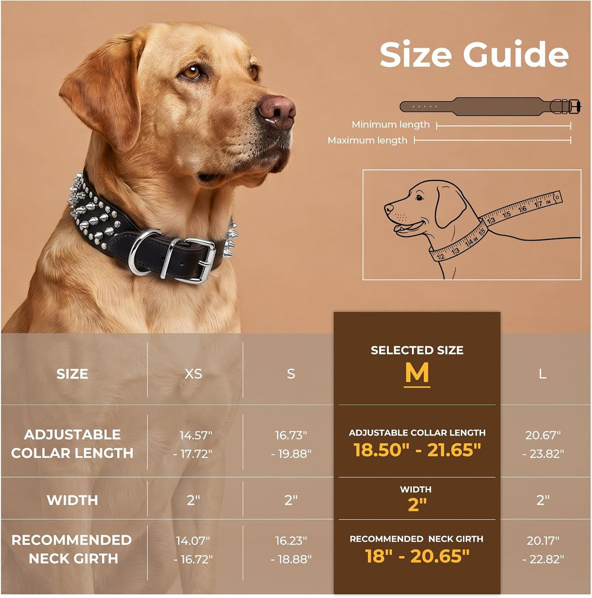 Anti-Bite Wide Spiked Studded Dog Collar, M (18.5” - 21.65”)