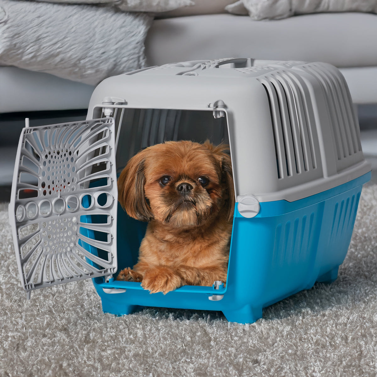 22 Inch Spree Travel Pet Carrier for Dog or Cat with Plastic Door, Blue