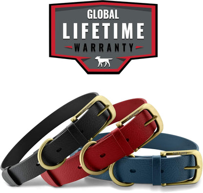 Heavy Duty Waterproof Dog Collar for Small, Medium & Large Dogs