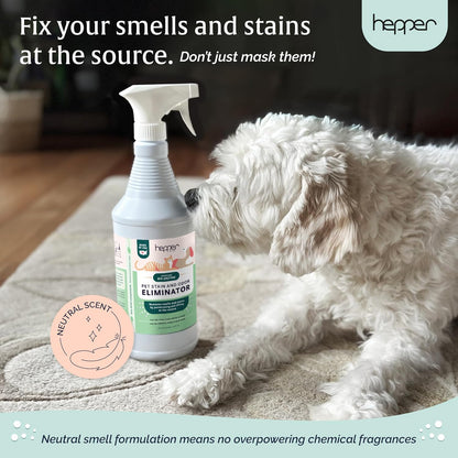 Bio-Enzyme Pet Stain & Odor Eliminator Spray - 32Oz - Neutral