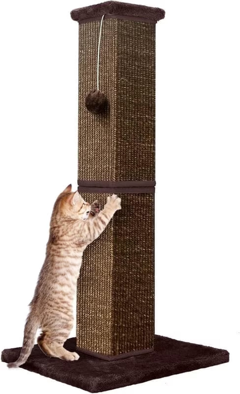 32" Tall Cat Scratching Post for Large Indoor Cats & Kittens, Cat Scratcher with Extra Large Stable Base and Natural Sisal, Sturdy Cat Scratch Post to Protect Furniture & Couch, Full Brown