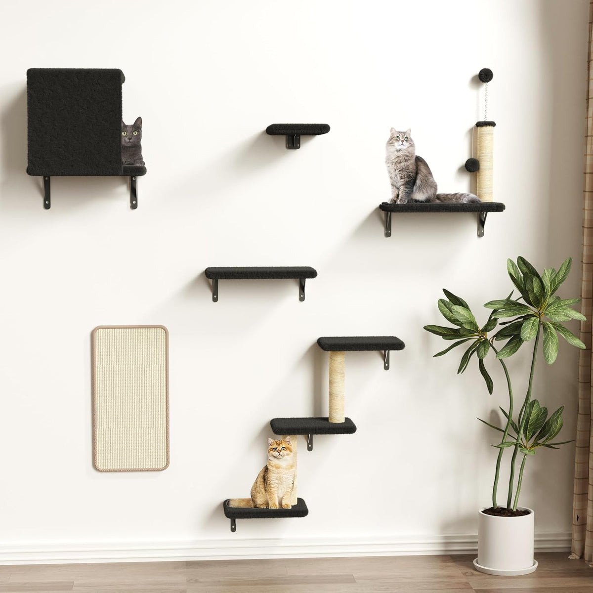 Cat Wall Shelves for Large Cats, Stable & Safe Kitty Walls Furniture Set for 40LBS Cats with Wooden Cat Climber,House, Bridge, Tree, Steps, and Scratcher for 16 Inch Drywall (Black, 6-In-1)