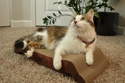Necoichi Cardboard Cat Scratcher Bed for Indoor Cats - Cat Scratching Board, Horizontal Cat Scratch Pad Lounger with Reversible Usability and Extra Comfort for Lounge, Curved (22" Large, Dark Cherry)