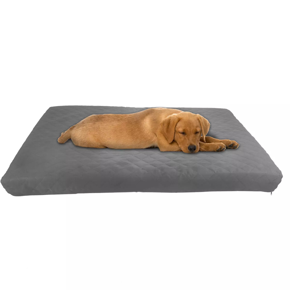 Waterproof Dog Bed – 2-Layer Memory Foam Dog Bed with Removable Machine Washable Cover – 36X27 Dog Bed for Large Dogs up to 75Lbs by PETMAKER (Gray)