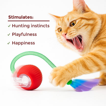 Automatic Rolling Ball for Cats – Rechargeable Smart Interactive Toy, Durable