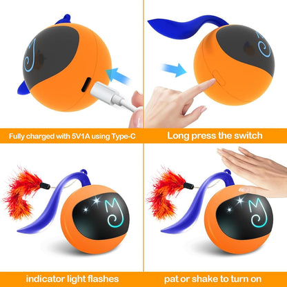Interactive Cat Ball Toy Set, Fun Tracker, Automatic Rolling Chase Ball with Fluffy Tail, a Small Mice, Rechargeable (Orange)