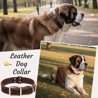 Heavy Duty Leather Dog Collar for Extra-Large Dogs, 22-30"
