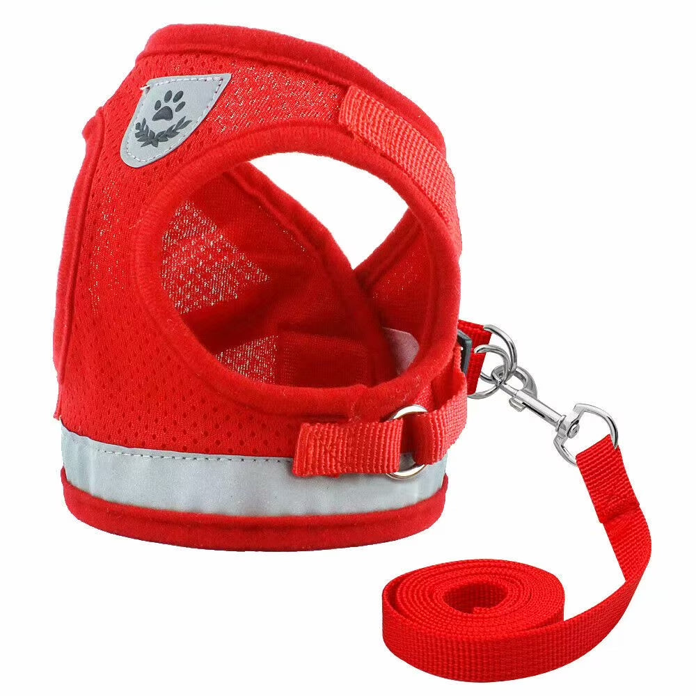 Cat Harness and Leash Set for Walking Cat and Small Dog Harness Soft Mesh Puppy Harness Adjustable Cat Vest Harness with Reflective Strap Comfort Fit for Pet Kitten Puppy Rabbit