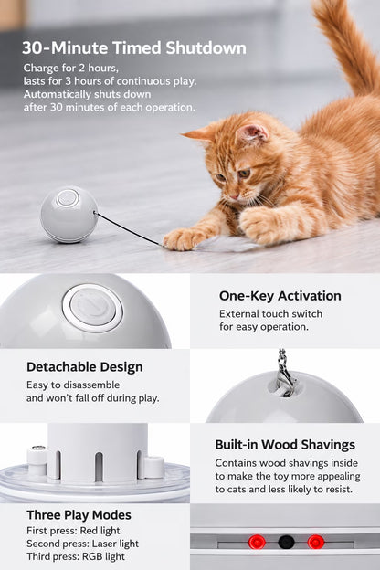 Interactive Cat Toy Ball, Automatic Rolling with LED Lights, Detachable Feather, Catnip, 360° Motion, for Indoor Pets, Grey