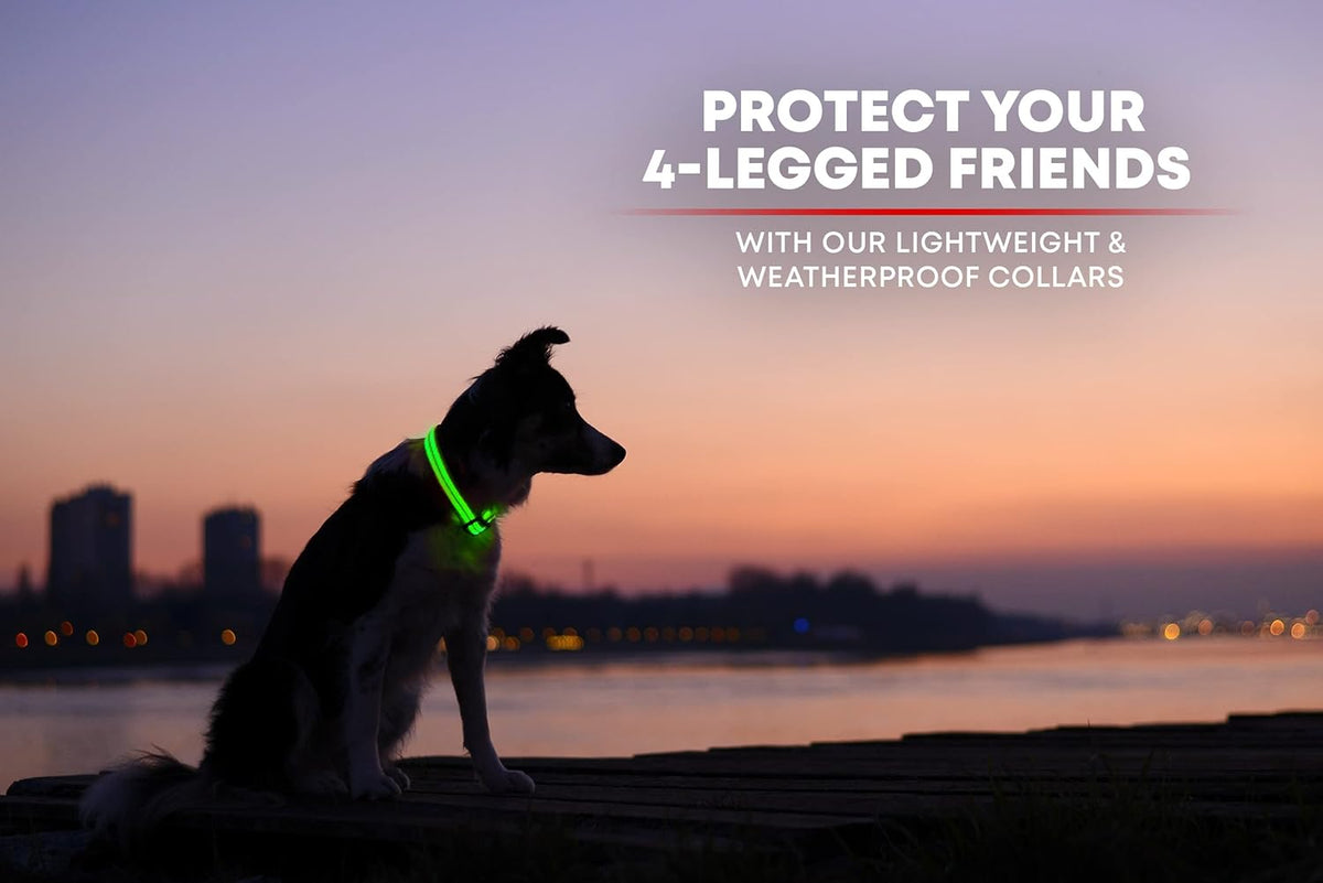 LED Dog Collar USB Rechargeable - Bright & High Visibility Lighted Glow Collar for Pet Night Walking - Weatherproof, in 6 Colors & 6 Sizes (Green Large)