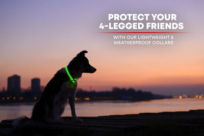 LED Dog Collar USB Rechargeable - Bright & High Visibility Lighted Glow Collar for Pet Night Walking - Weatherproof, in 6 Colors & 6 Sizes (Green Large)