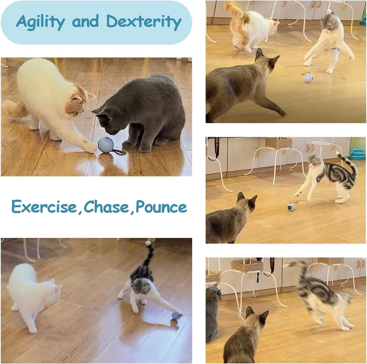 Interactive Cat Ball Toy Set, Fun Tracker, Automatic Rolling Chase Ball with Fluffy Tail, a Small Mice, Rechargeable (Orange)