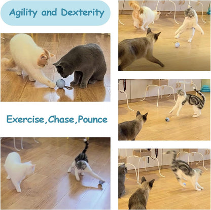 Interactive Cat Ball Toy Set, Fun Tracker, Automatic Rolling Chase Ball with Fluffy Tail, a Small Mice, Rechargeable (Orange)
