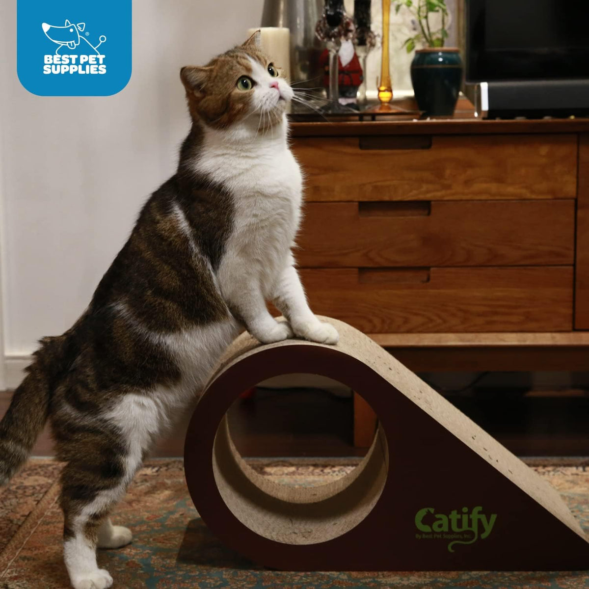 Catify Corrugated Cardboard Cat Scratcher - Droplet