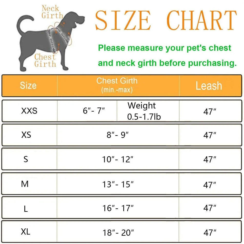 Cat Harness and Leash Set for Walking Cat and Small Dog Harness Soft Mesh Puppy Harness Adjustable Cat Vest Harness with Reflective Strap Comfort Fit for Pet Kitten Puppy Rabbit