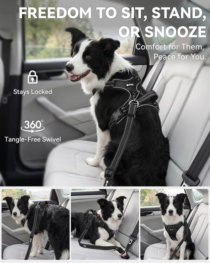 3-In-1 Bungee Dog Seat Belt for Car, Medium and Large Dogs, Black