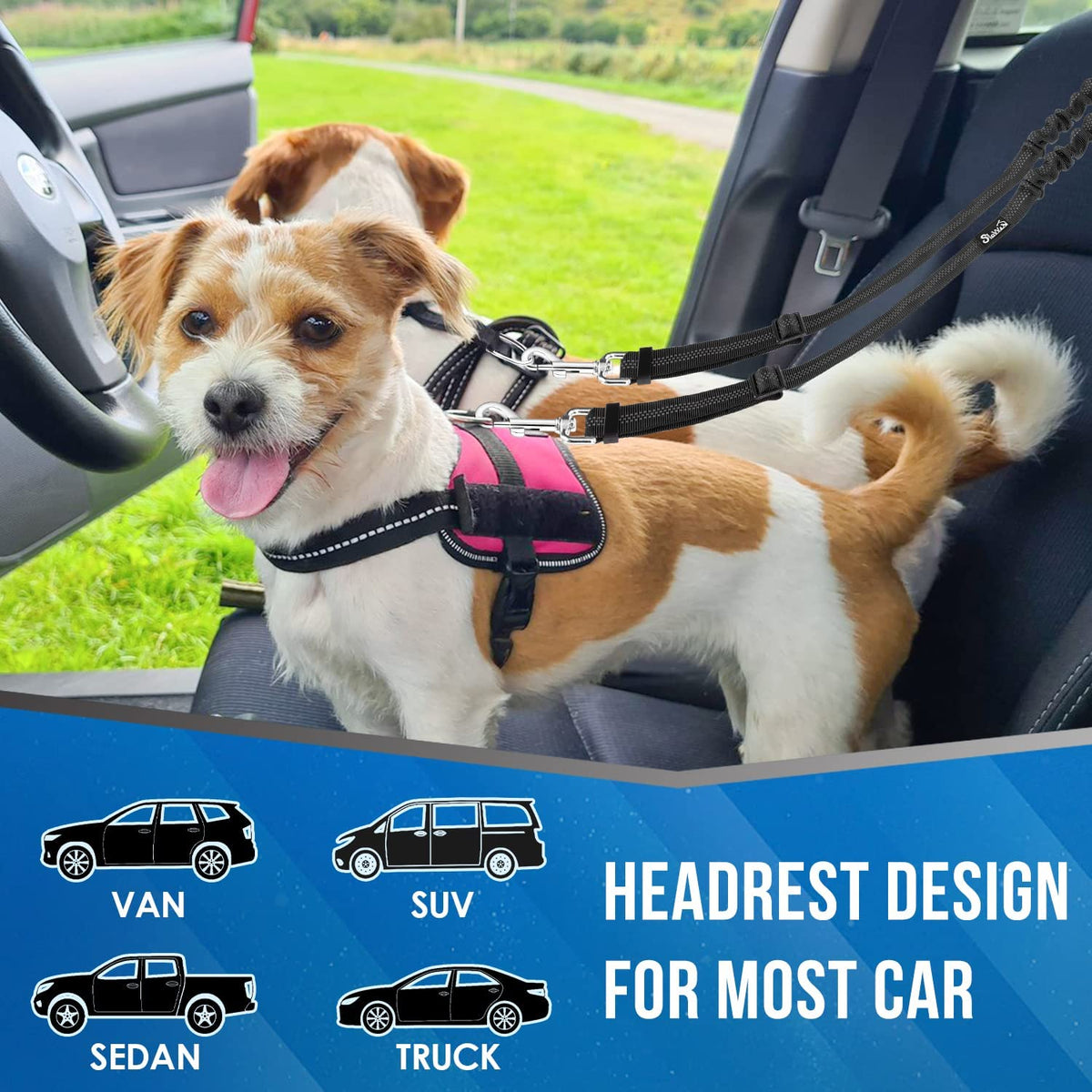 Double Dog Car Seat Belt, No Tangle Headrest Restraint