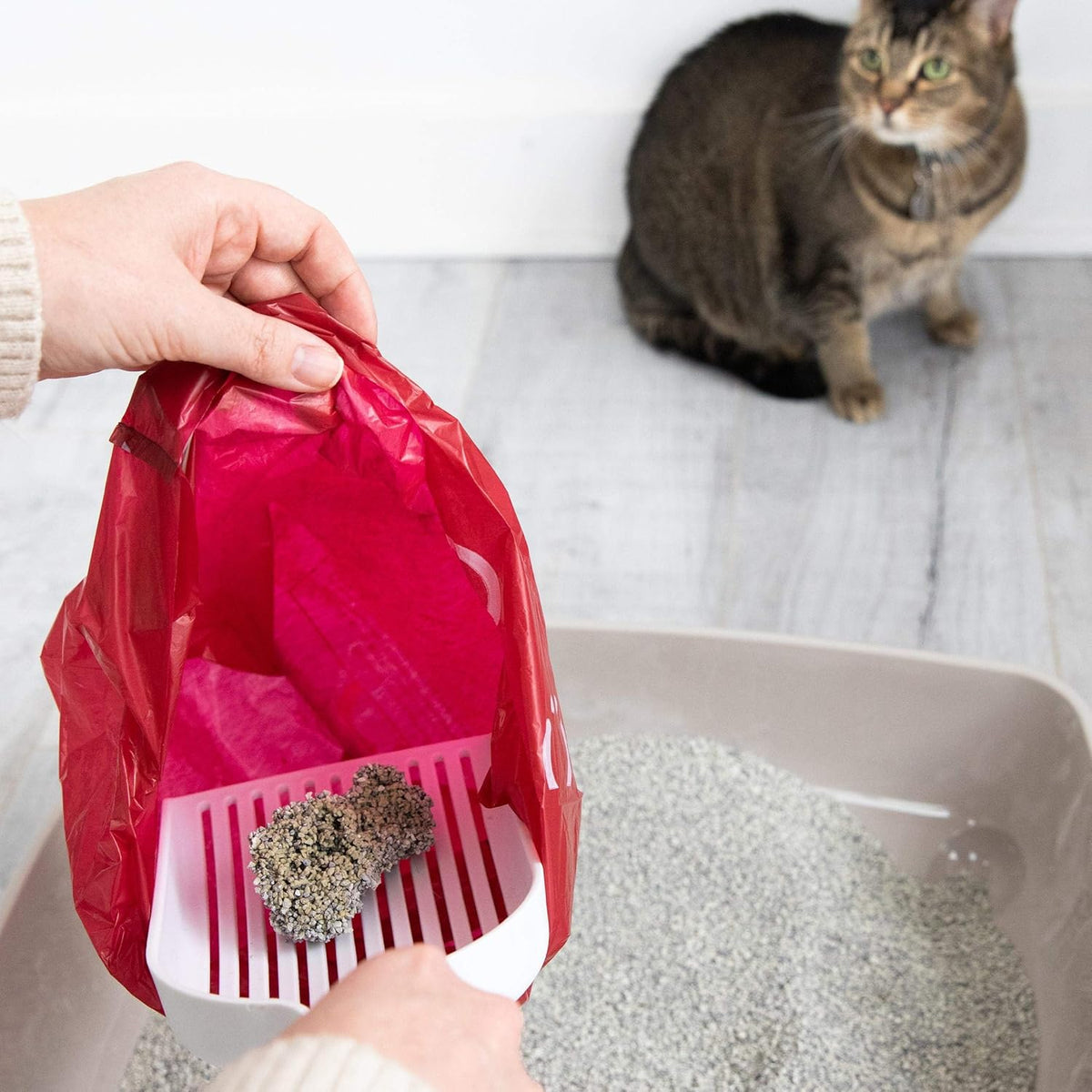 Ubbi Pet Waste Sacks, Lavender Scented Cat Litter Disposal Bags, Leak Proof and Easy Tie, 200 Count (Pack of 1)