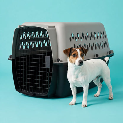 Small Plastic Hard-Sided Pet Carrier, Black and Gray, 15 Lb Limit