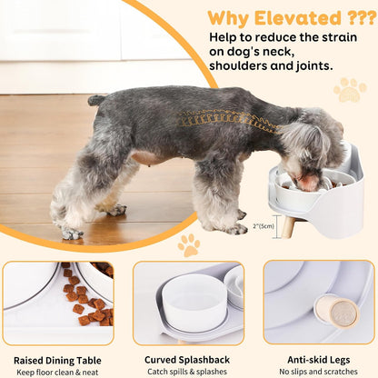 Elevated Slow Feeder Dog Bowls with Splash Proof Stand, Slow Eating 5X
