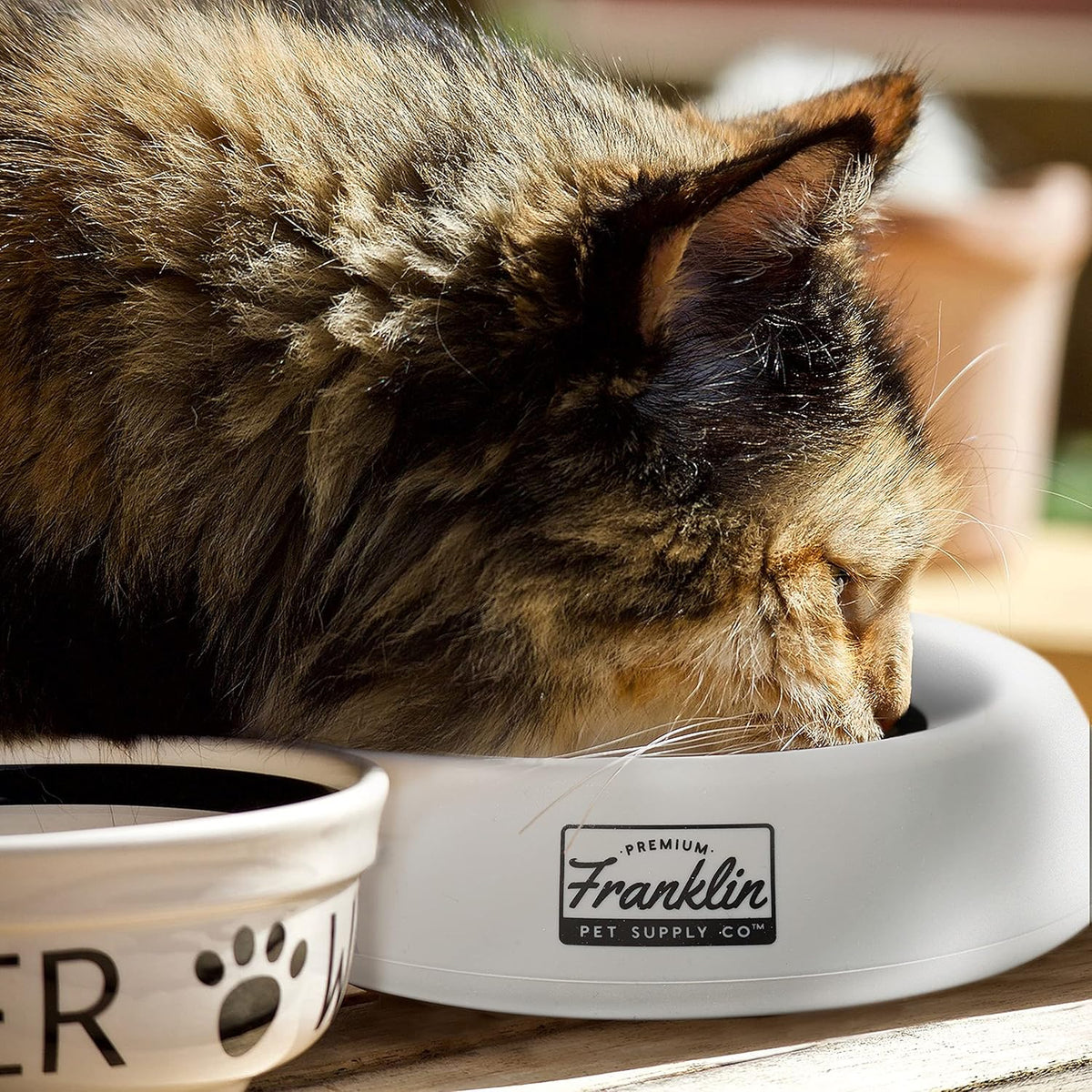 Franklin Sports No-Spill Travel Pet Bowl for Dogs + Cats - 16 Oz.