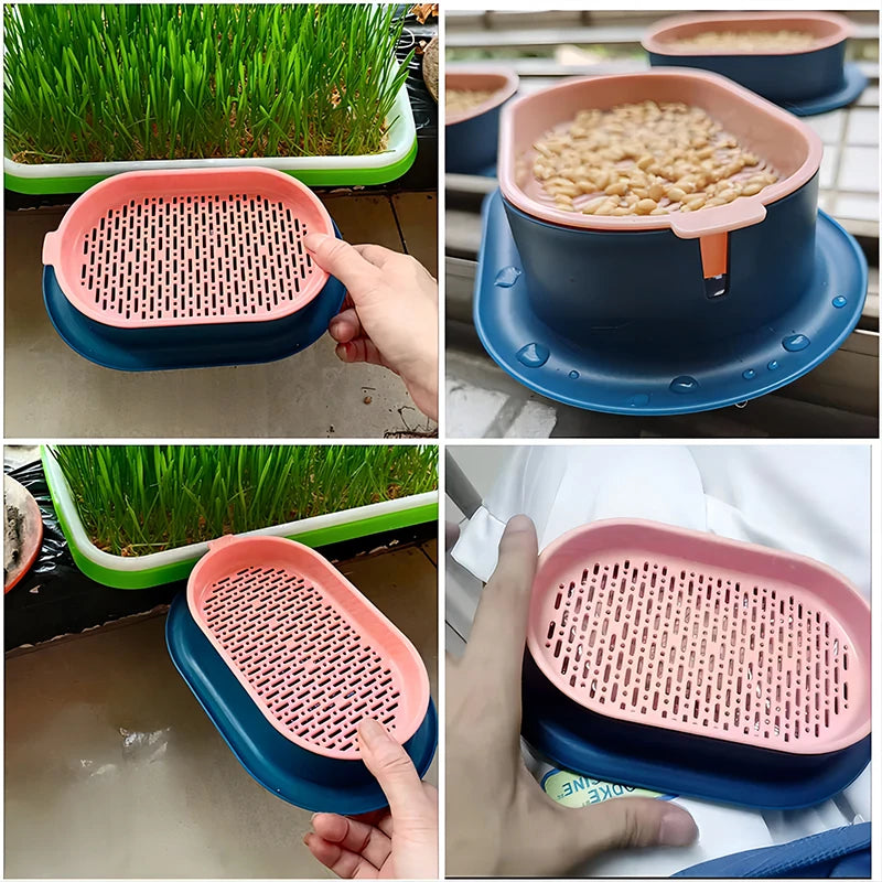 Pet Cat Sprout Dish Growing Pot Hydroponic Plant Cat Pot Grass Box Germination Nursery Starter Dish Greenhouse Grow Box
