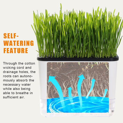 Self-Watering Cat Grass Planter (No Seeds Included) for Indoor Cats