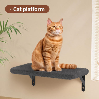 Cat Wall Shelves for Large Cats, Stable & Safe Kitty Walls Furniture Set for 40LBS Cats with Wooden Cat Climber,House, Bridge, Tree, Steps, and Scratcher for 16 Inch Drywall (Black, 6-In-1)