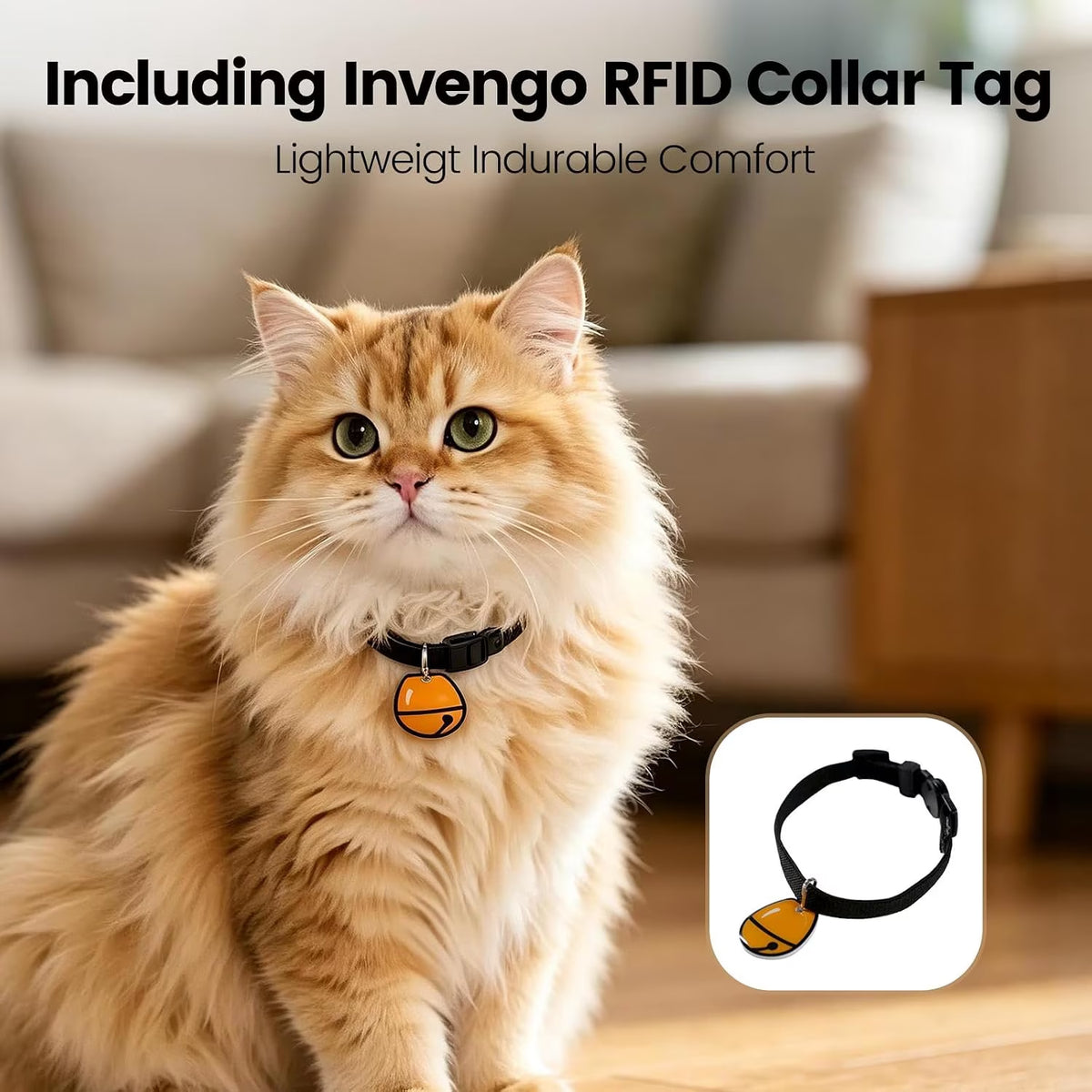 RFID Automatic Cat Feeder with Collar Tag, App Controlled Smart Pet Feeder, 3.5L Timed Automatic Dog & Cat Food Dispenser, Portion Control, Pet Exclusive Feeding
