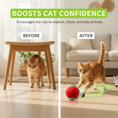 Automatic Rolling Ball for Cats – Rechargeable Smart Interactive Toy, Durable
